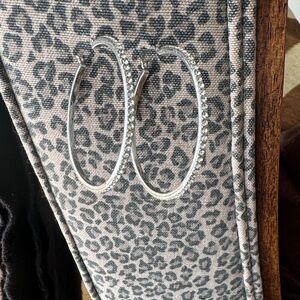 Elegant Silver Hoop Earrings